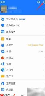 支付宝如何设置允许读取剪贴板