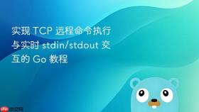 实现 TCP 远程命令执行与实时 stdin/stdout 交互的 Go 教程