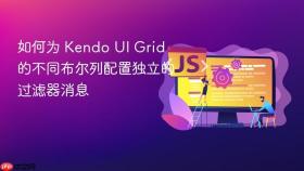 如何为 Kendo UI Grid 的不同布尔列配置独立的过滤器消息