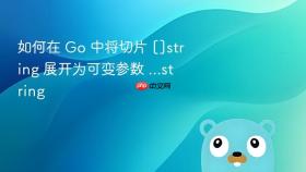 如何在 Go 中将切片 []string 展开为可变参数 ...string
