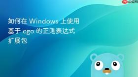 如何在 Windows 上使用基于 cgo 的正则表达式扩展包