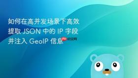 如何在高并发场景下高效提取 JSON 中的 IP 字段并注入 GeoIP 信息