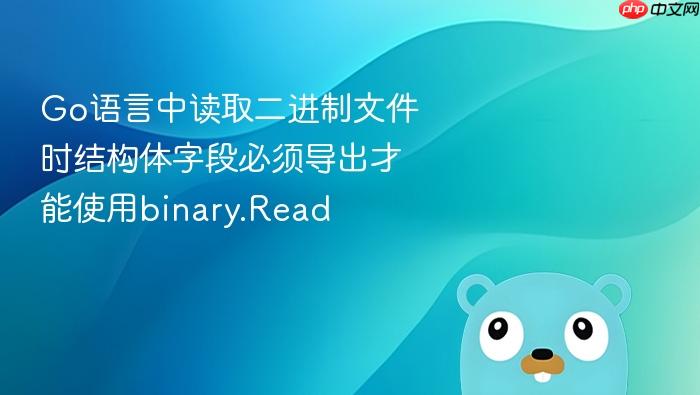 Go语言中读取二进制文件时结构体字段必须导出才能使用binary.Read
