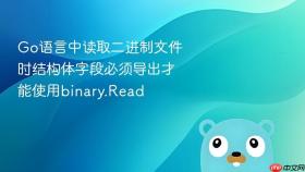 Go语言中读取二进制文件时结构体字段必须导出才能使用binary.Read
