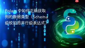 Polars 中如何正确获取列的数据类型（Schema 级校验而非行级表达式）
