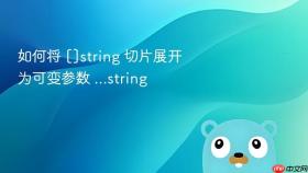 如何将 []string 切片展开为可变参数 ...string
