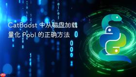 CatBoost 中从磁盘加载量化 Pool 的正确方法