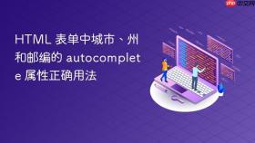 HTML 表单中城市、州和邮编的 autocomplete 属性正确用法
