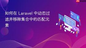 如何在 Laravel 中动态过滤并移除集合中的匹配元素