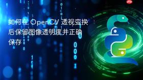 如何在 OpenCV 透视变换后保留图像透明度并正确保存