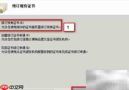 IIS证书续订指南