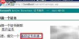IIS证书续订指南