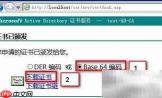 IIS证书续订指南