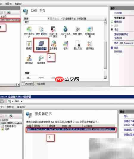 IIS证书续订指南
