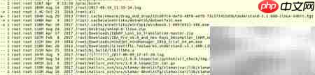 Ubuntu清理日志与缓存包