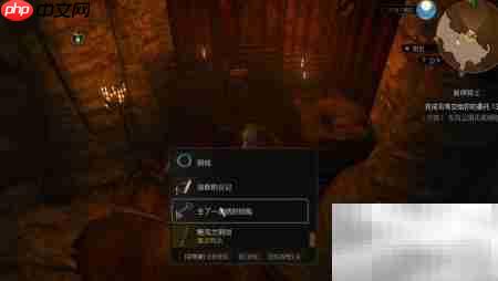 巫师3凯德米克维德眼罩获取攻略