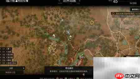 巫师3凯德米克维德眼罩获取攻略