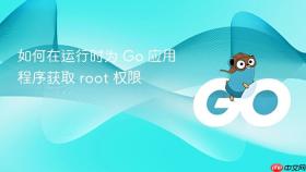 如何在运行时为 Go 应用程序获取 root 权限
