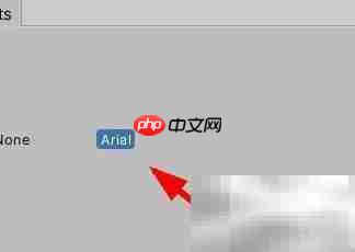 Unity GUI Skin字体设置方法