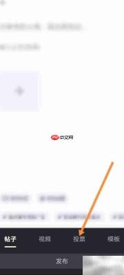 发布投票教程