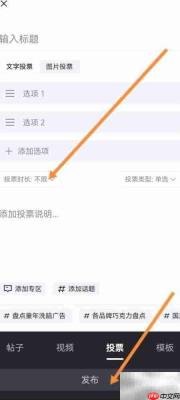 发布投票教程