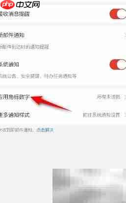 网易邮箱大师角标设置方法
