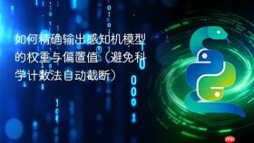 如何精确输出感知机模型的权重与偏置值（避免科学计数法自动截断）
