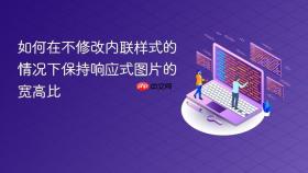 如何在不修改内联样式的情况下保持响应式图片的宽高比