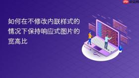 如何在不修改内联样式的情况下保持响应式图片的宽高比