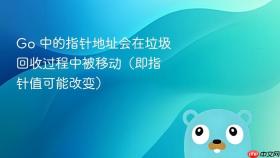 Go 中的指针地址会在垃圾回收过程中被移动（即指针值可能改变）