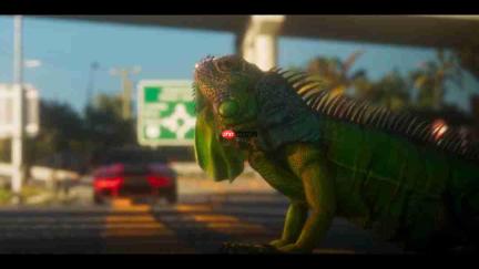 《GTA6》发售宣传片发布 距离发售还有一个多月