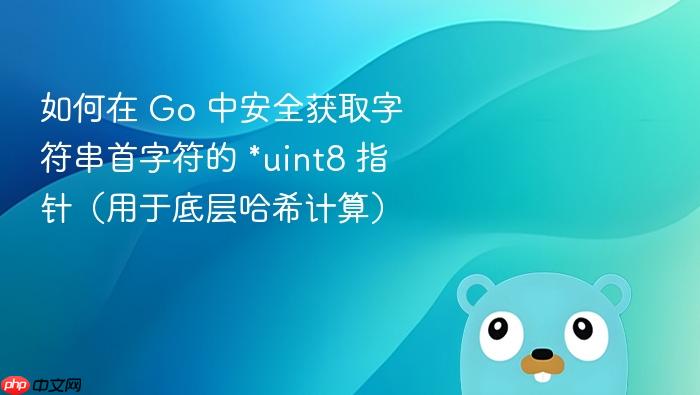 如何在 Go 中安全获取字符串首字符的 *uint8 指针(用于底层哈希计算)