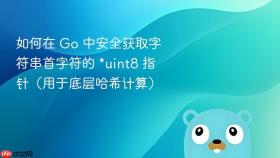 如何在 Go 中安全获取字符串首字符的 *uint8 指针(用于底层哈希计算)