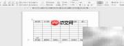 WPS2019制作出纳日报表
