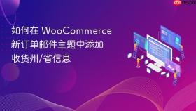 如何在 WooCommerce 新订单邮件主题中添加收货州/省信息