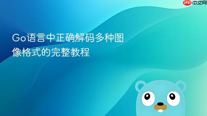 Go语言中正确解码多种图像格式的完整教程