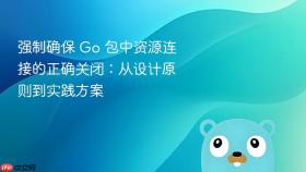 强制确保 Go 包中资源连接的正确关闭:从设计原则到实践方案