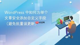 WordPress 中如何为单个文章安全添加自定义字段(避免批量误更新)