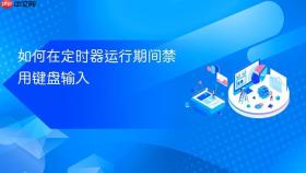 如何在定时器运行期间禁用键盘输入