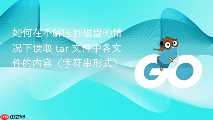 如何在不解压到磁盘的情况下读取 tar 文件中各文件的内容（字符串形式）
