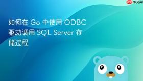 如何在 Go 中使用 ODBC 驱动调用 SQL Server 存储过程