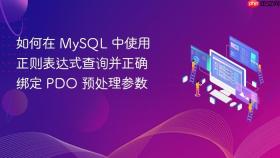 如何在 MySQL 中使用正则表达式查询并正确绑定 PDO 预处理参数