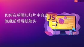 如何在单图幻灯片中自动隐藏前后导航箭头