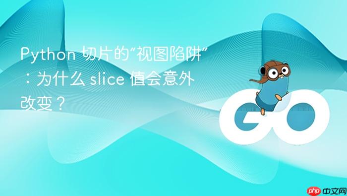 Python 切片的“视图陷阱”:为什么 slice 值会意外改变?