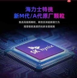 4K 视频剪辑师内存买多大,推荐几款高性能内存条