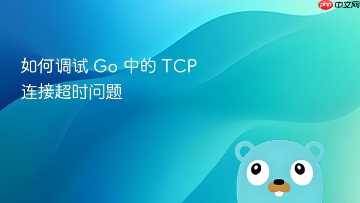 如何调试 Go 中的 TCP 连接超时问题
