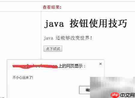 Java按钮操控网页元素技巧