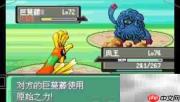 漆黑魅影之森攻略
