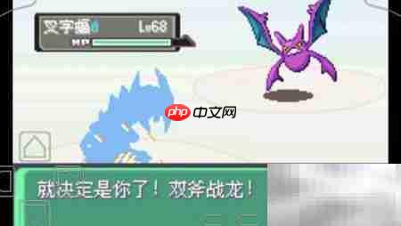 漆黑魅影之森攻略