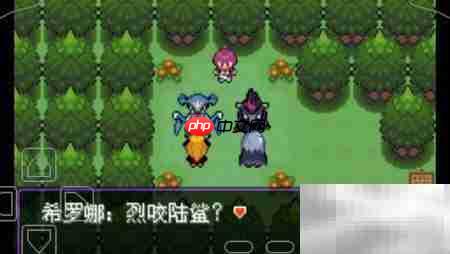 漆黑魅影之森攻略
